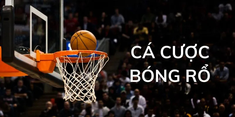 Cá Cược Bóng Rổ - Hướng Dẫn Chi Tiết Và Những Điều Cần Biết 3 Những điểm chú ý cho bạn mới khi tham gia