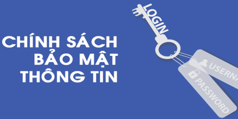 Giới Thiệu Bong88 - Điểm Đến Lý Tưởng Cho Tín Đồ Cá Cược 2 Chính sách bảo mật hàng đầu