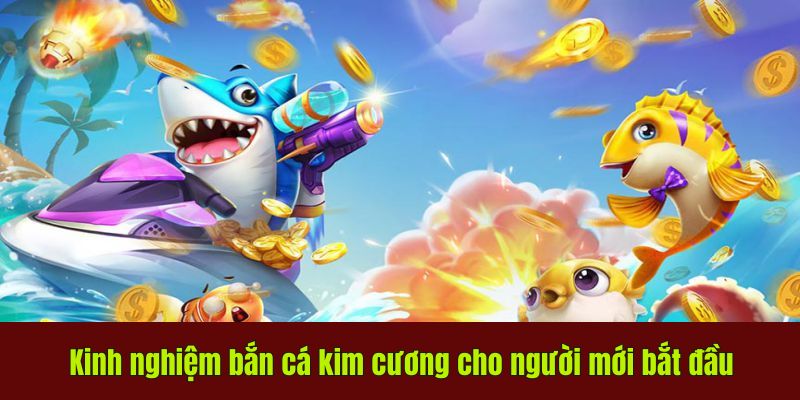 Bắn Cá Kim Cương Hot Nhất - Kinh Nghiệm Cho Người Mới 4 Kinh nghiệm bắn cá kim cương cho người mới bắt đầu
