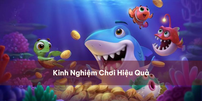Bắn Cá H5: Hướng Dẫn Tân Binh Chơi và Mẹo Săn Hiệu Quả 4 Những mẹo chơi hữu hiệu rinh về tiền triệu cho người chơi